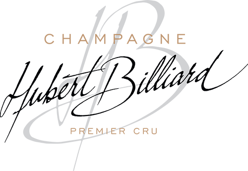 Champagne Billiard